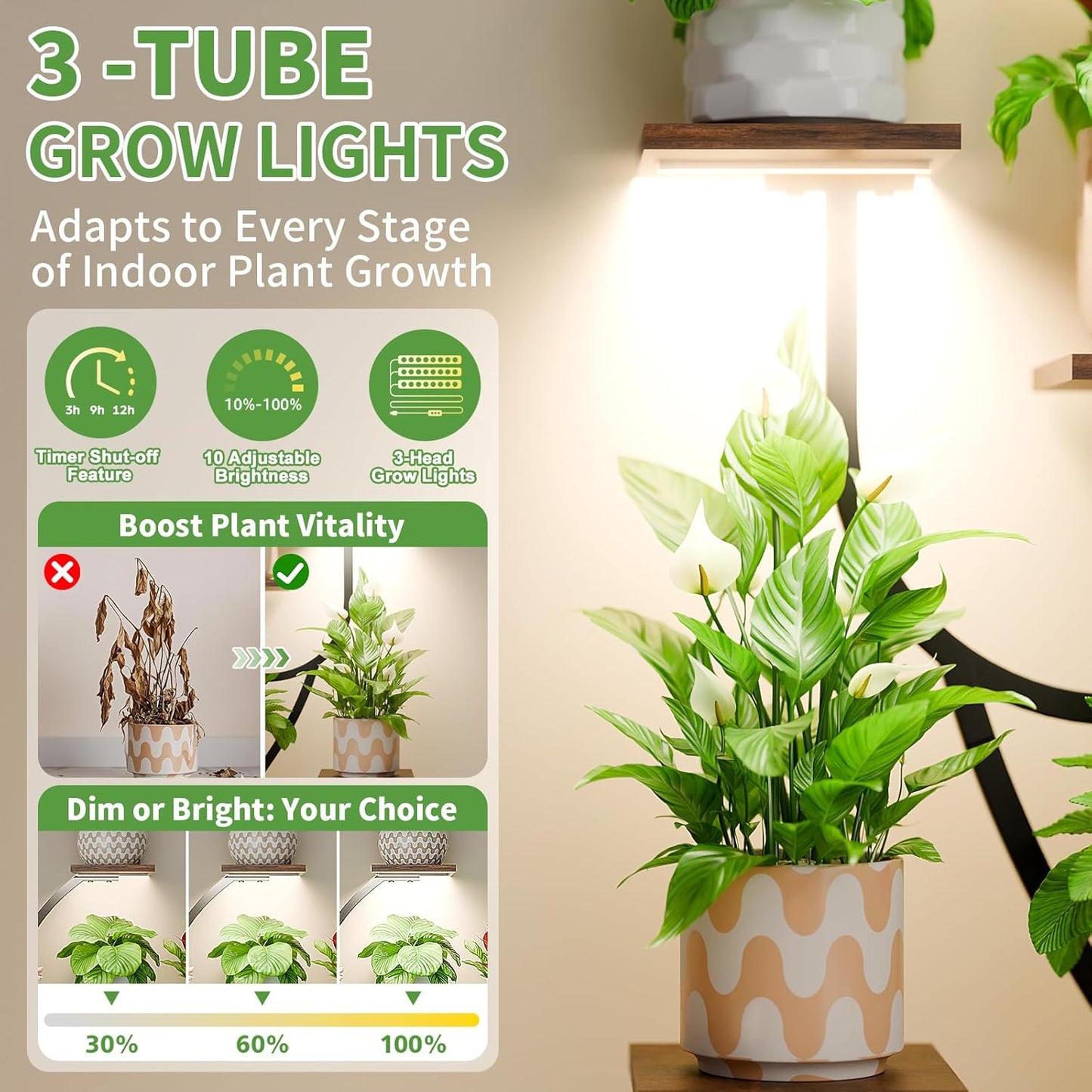 Selene Crescent Stand