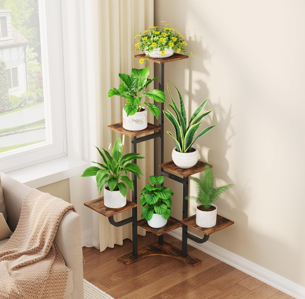 The Evergreen Haven Stand