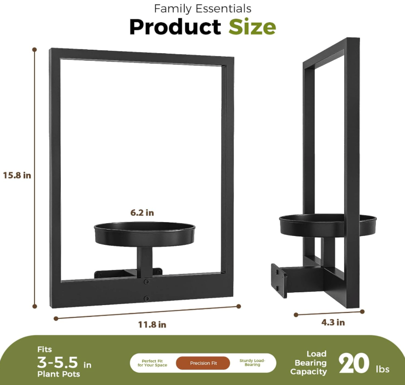 The Framed Flora Wall Display Set