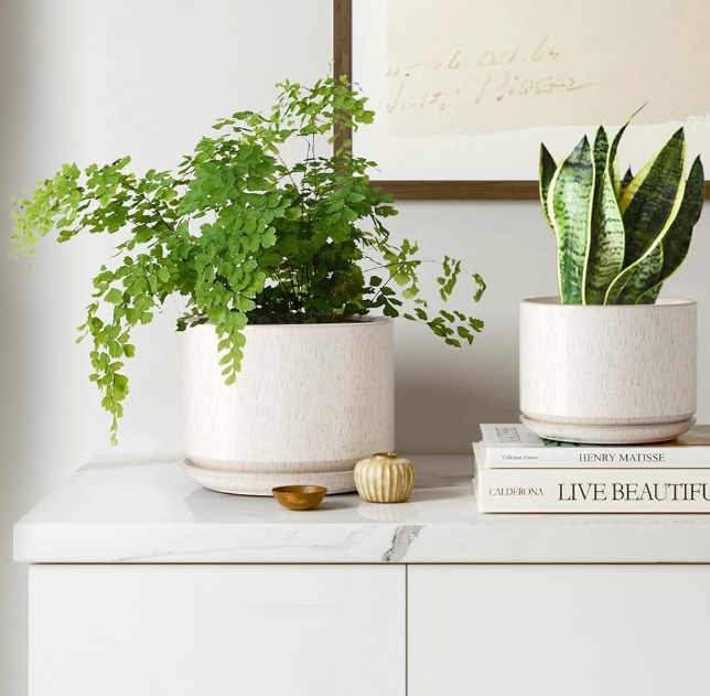 The Aura Birch Planter Set