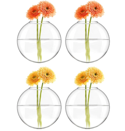 Glass Wall Propagation Bowl Set