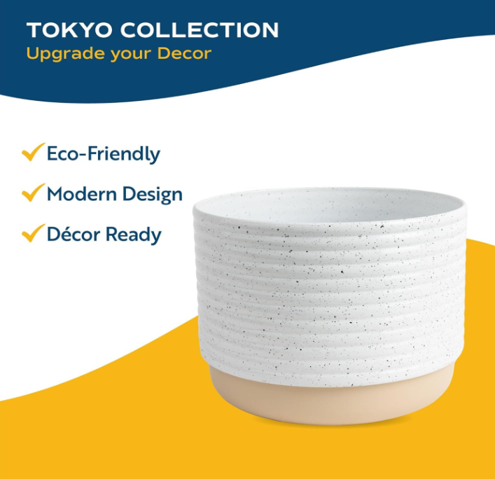 The Serene Whisper Peace Lily