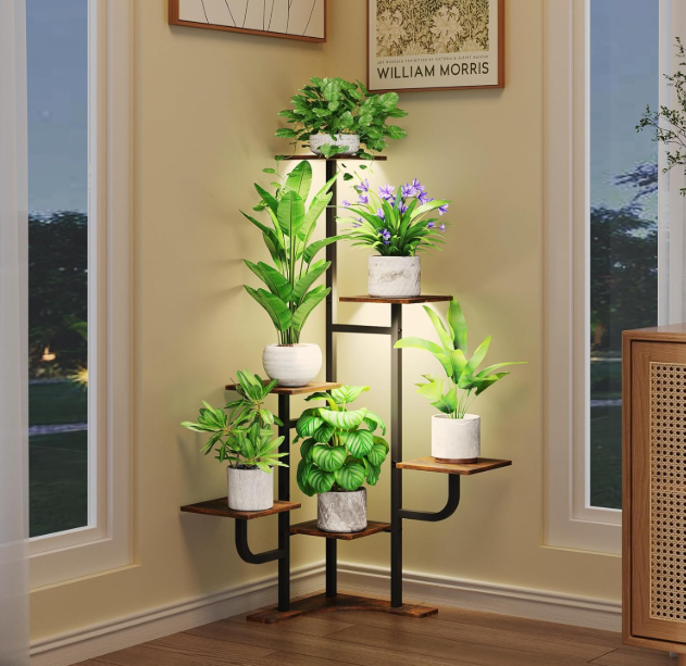 The Evergreen Haven Stand – Leafy Ladder