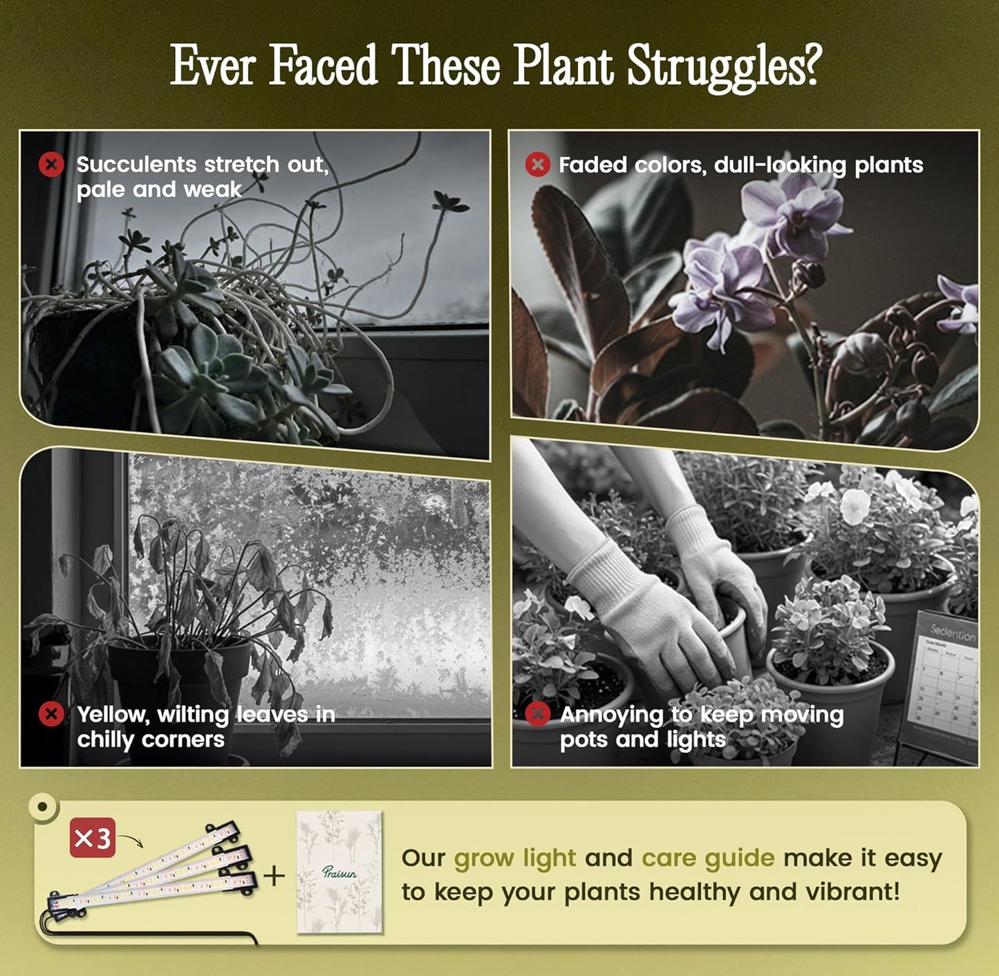 The Felicity Crescent Duo