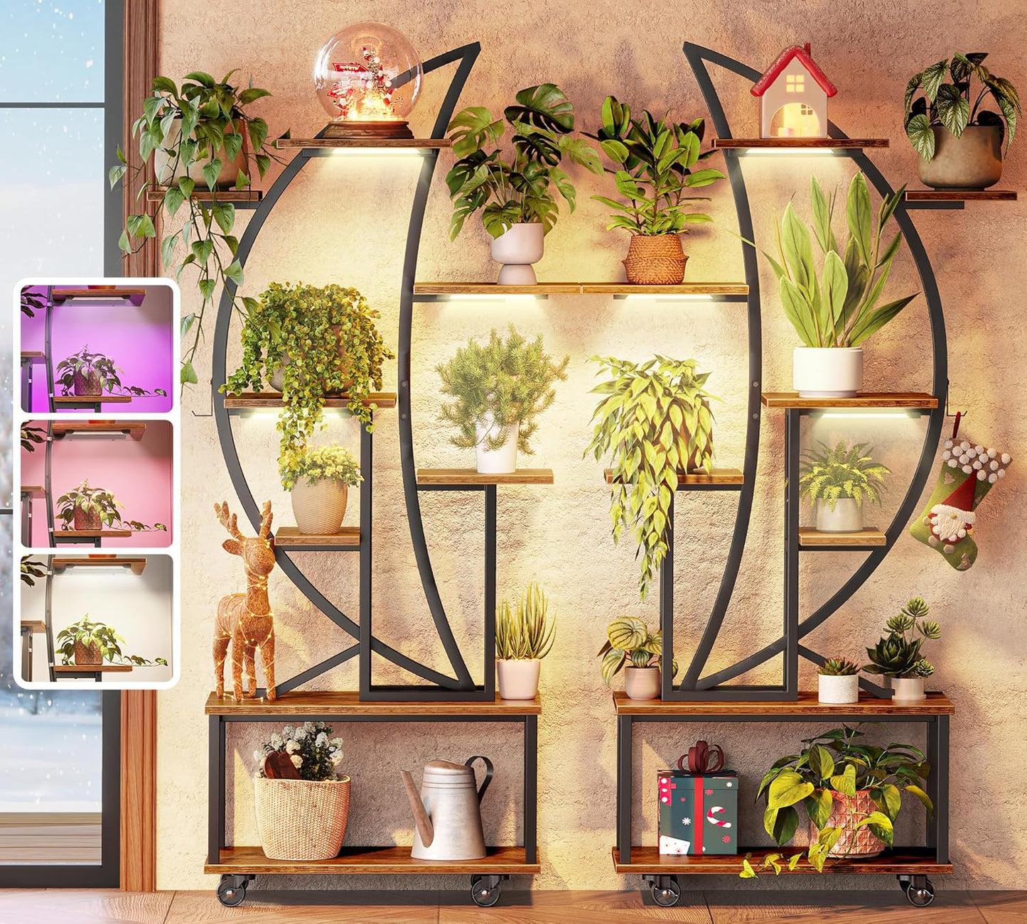 The Felicity Crescent Duo