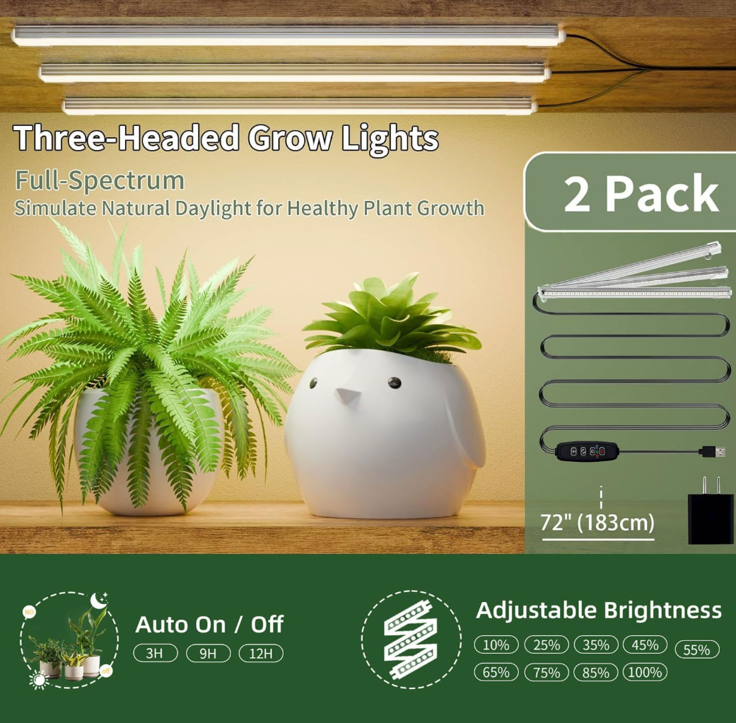 indoor plant eden The Eden Vault Ensemble – Leafy Ladder