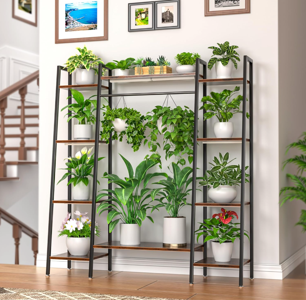 The Eden Vault Ensemble