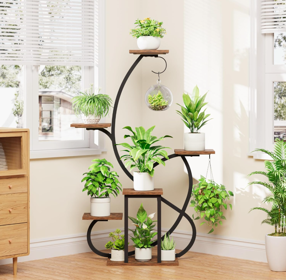 The Aurelia Spiral Stand