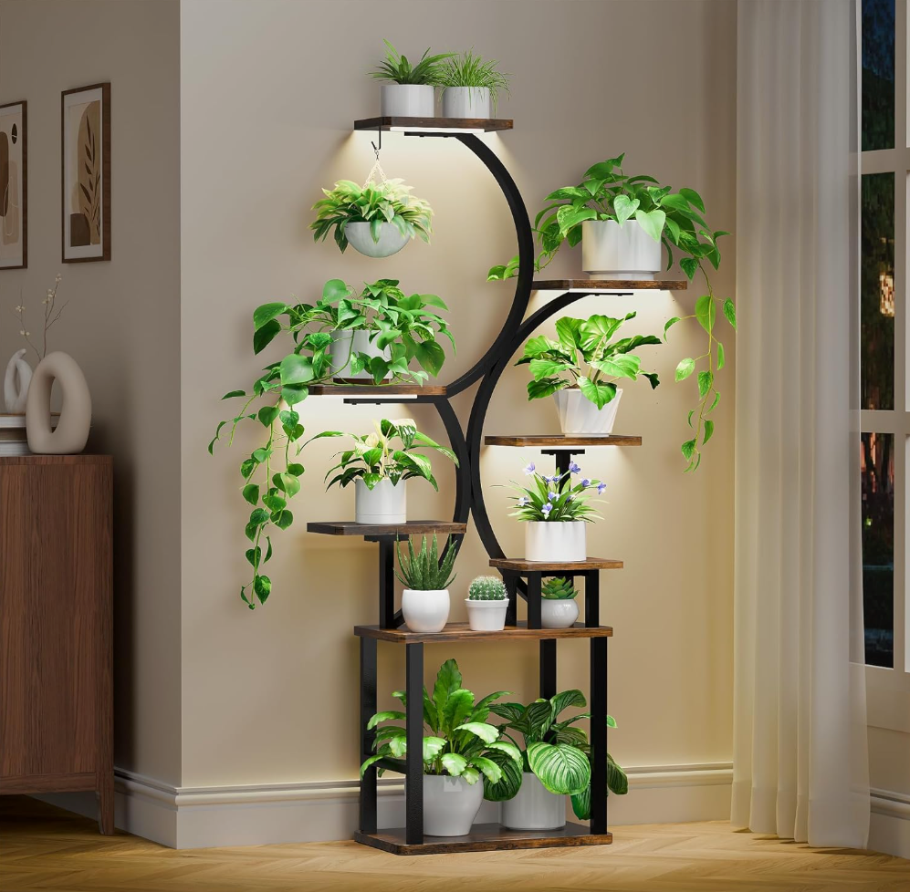 The Elowen Arc Stand