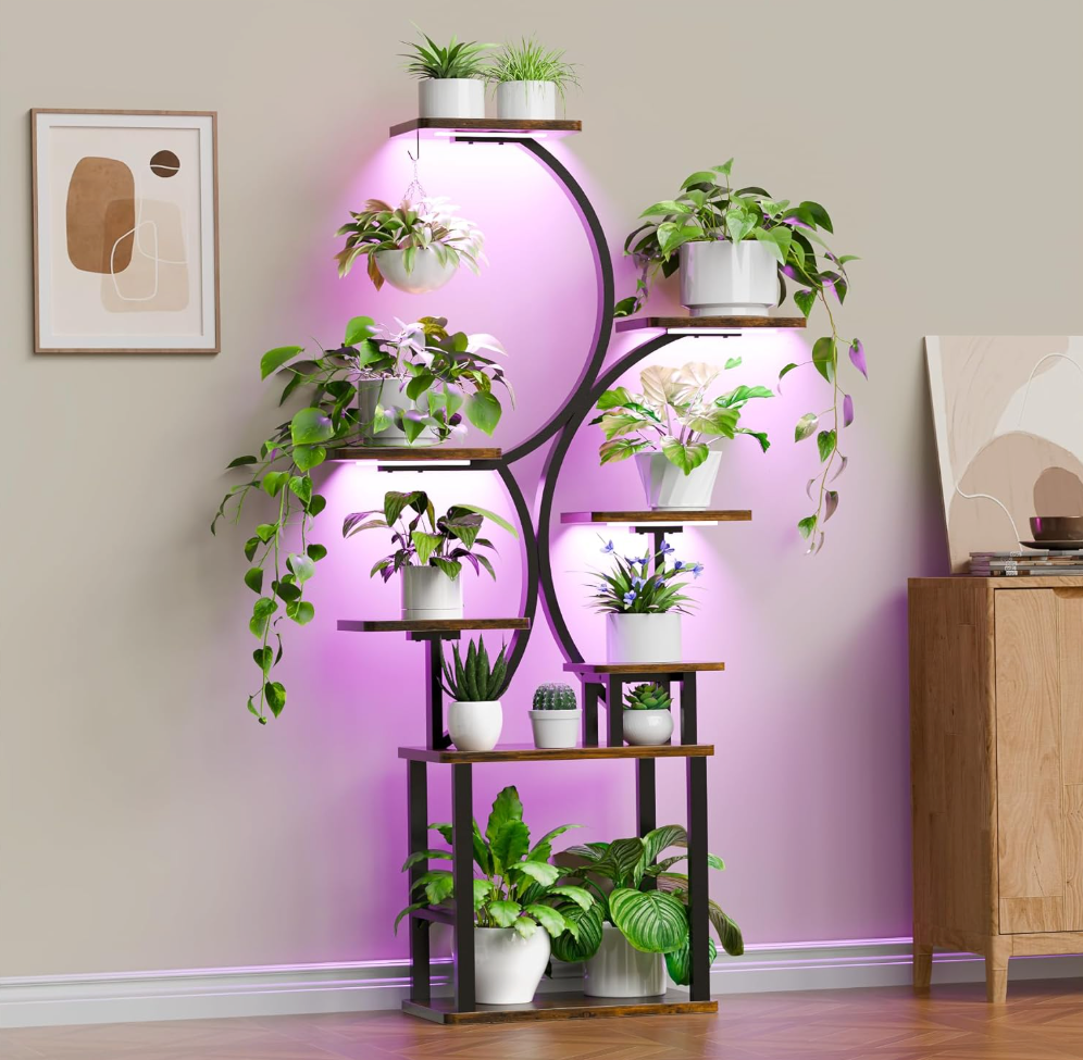 The Elowen Arc Stand