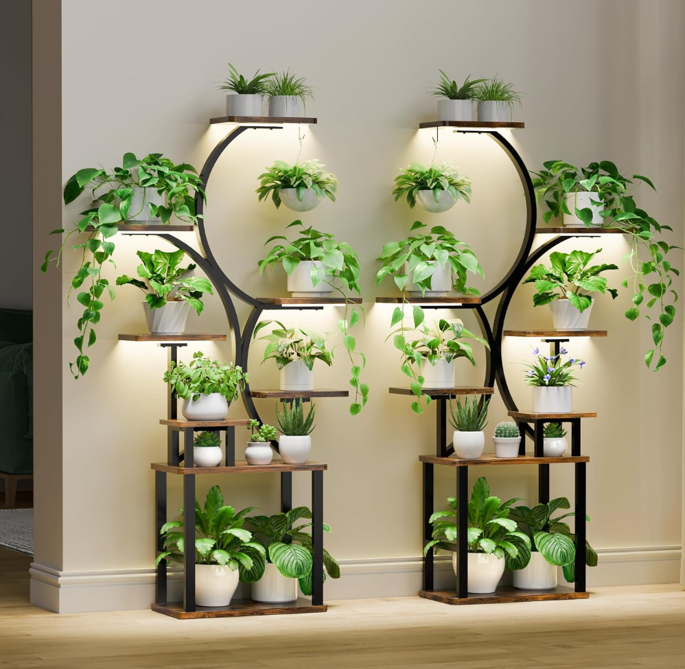 The Elowen Arc Stand