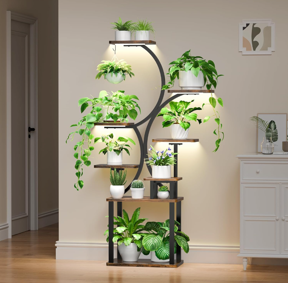 The Elowen Arc Stand