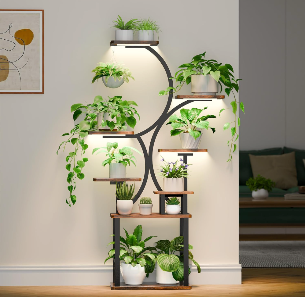 The Elowen Arc Stand