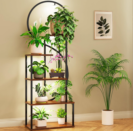 The Lunara Halo Stand