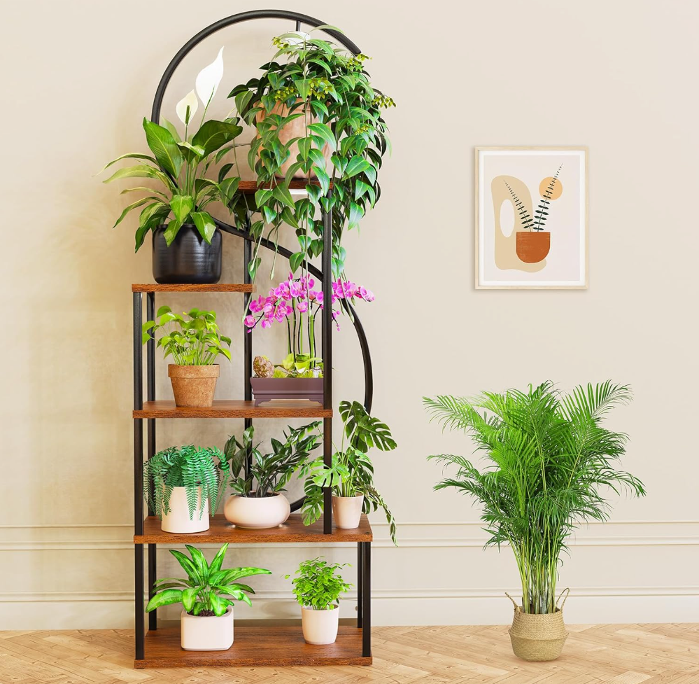 The Lunara Halo Stand