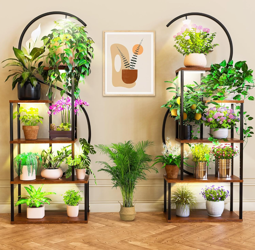 The Lunara Halo Stand