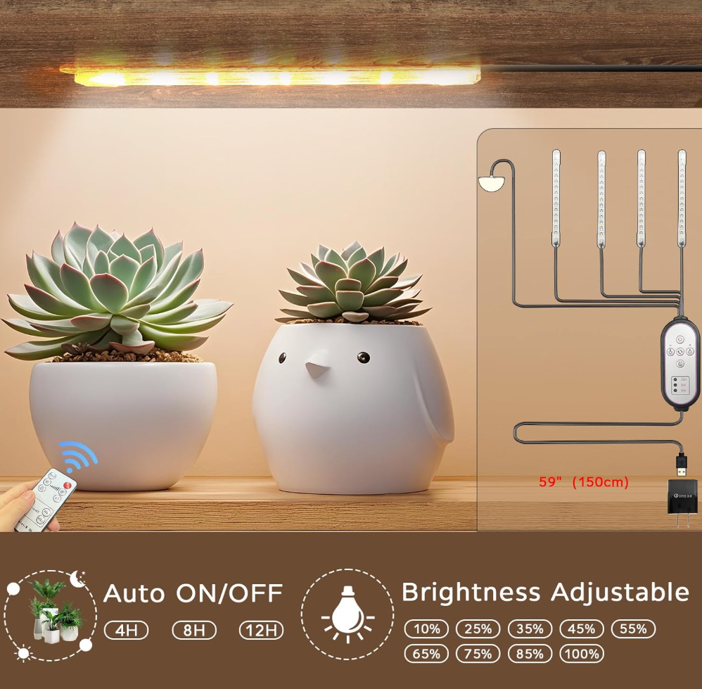 The Lunara Halo Stand