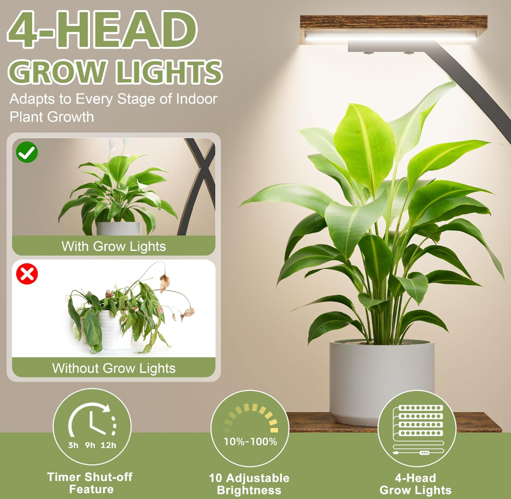 The Verdanza Archway