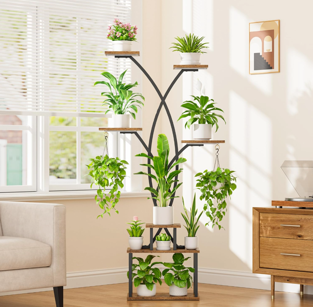 The Verdanza Archway