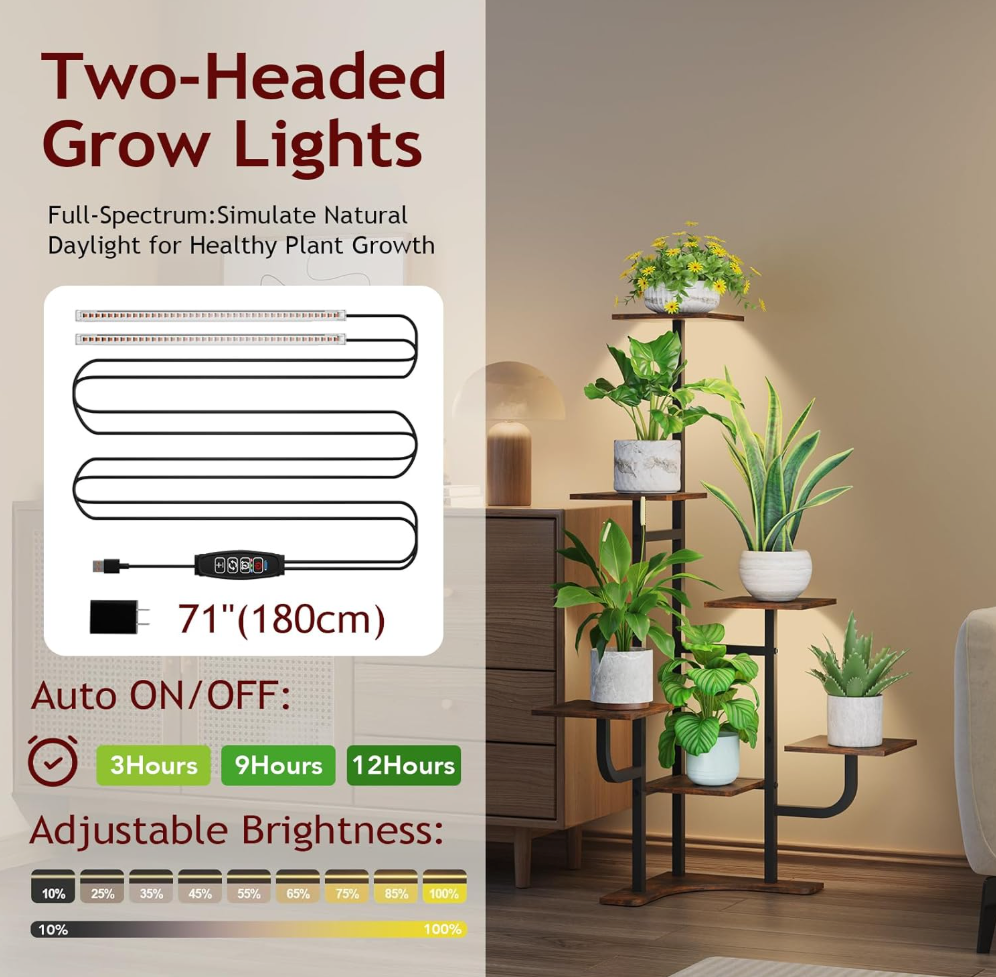 The Evergreen Haven Stand