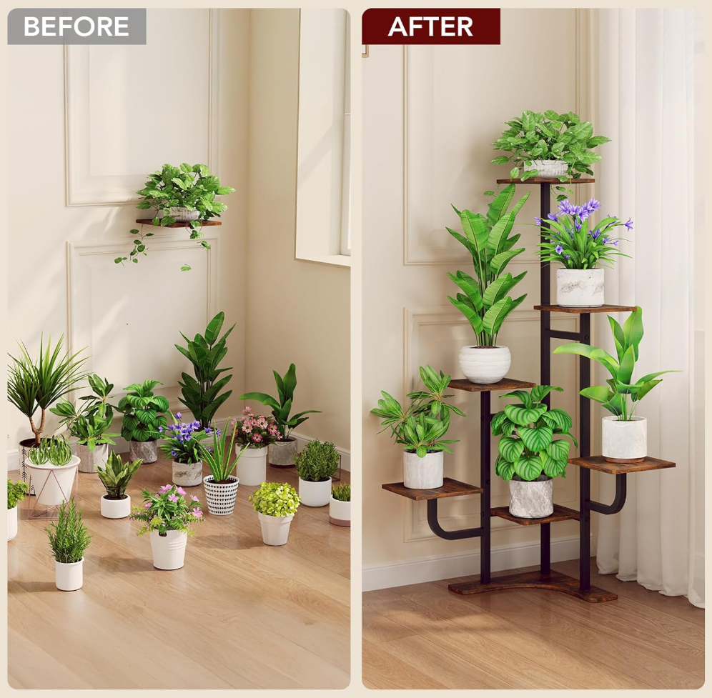 The Evergreen Haven Stand