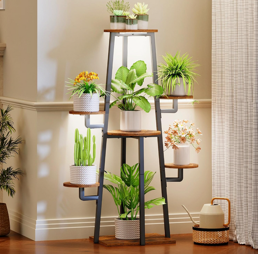 The Haven Glow Stand