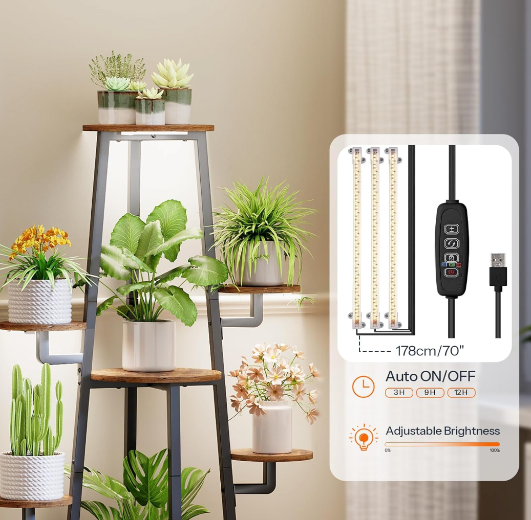 The Haven Glow Stand