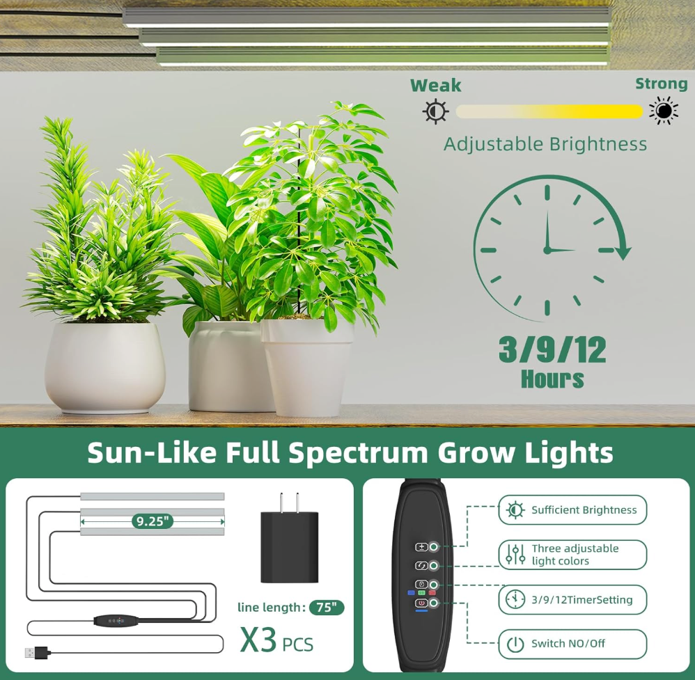The Evergreen Glow Stand