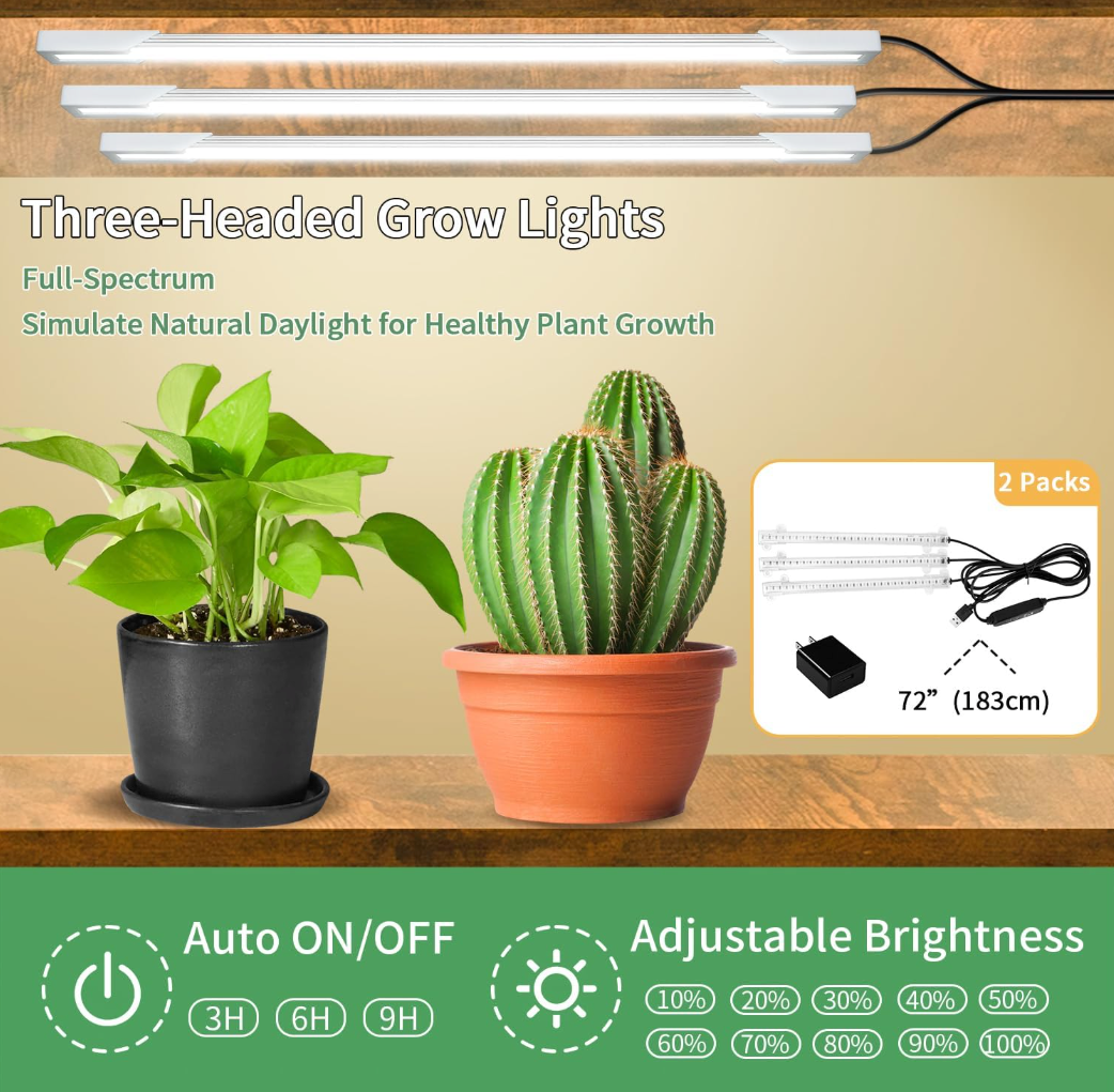 The Verdant Glow Ladder