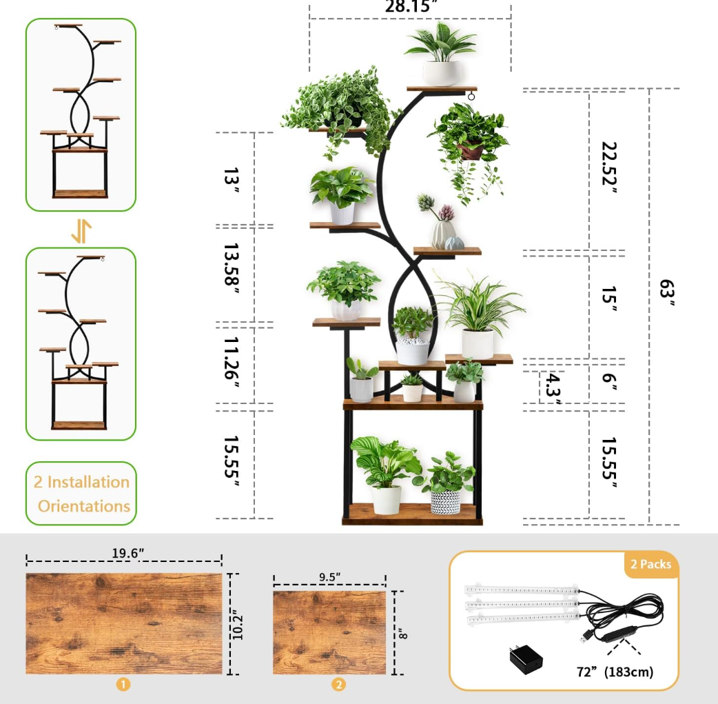 The Verdant Glow Ladder