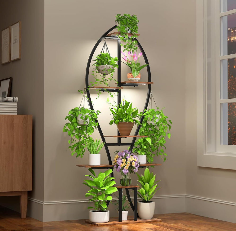 The Magnolia Glow Stand