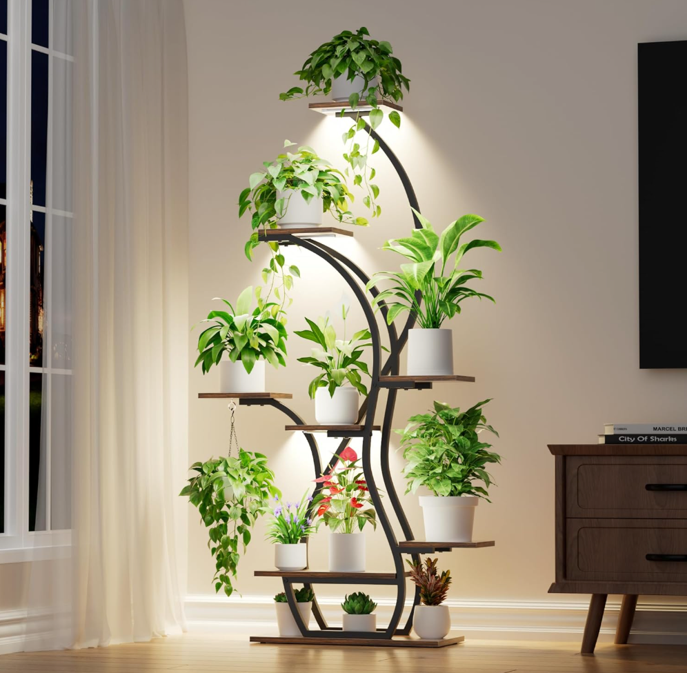 The Aurora Grove Stand