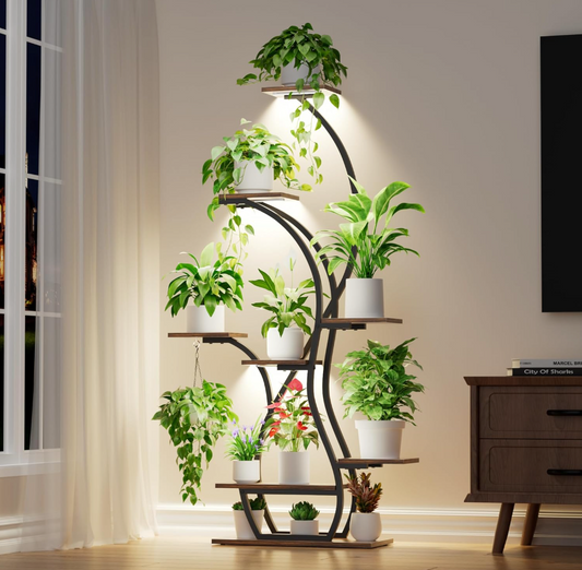 The Aurora Grove Stand