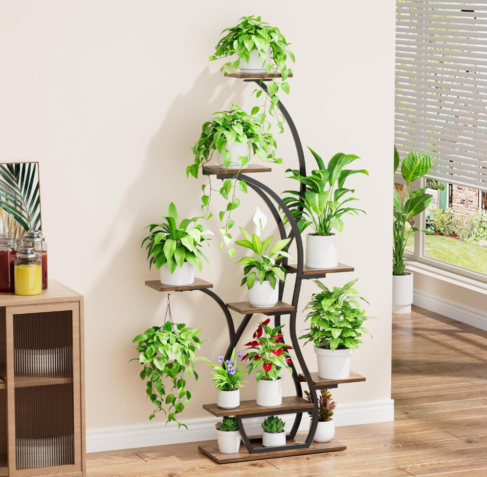 The Aurora Grove Stand