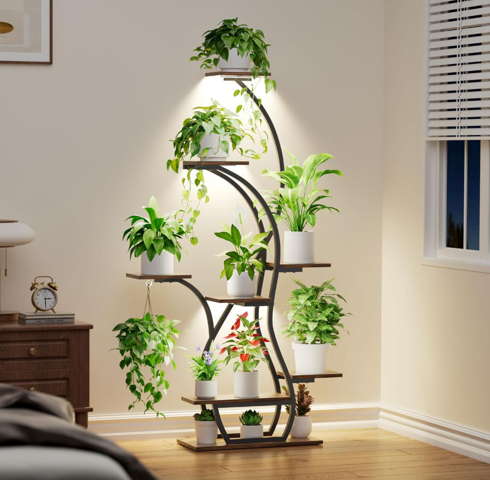 The Aurora Grove Stand