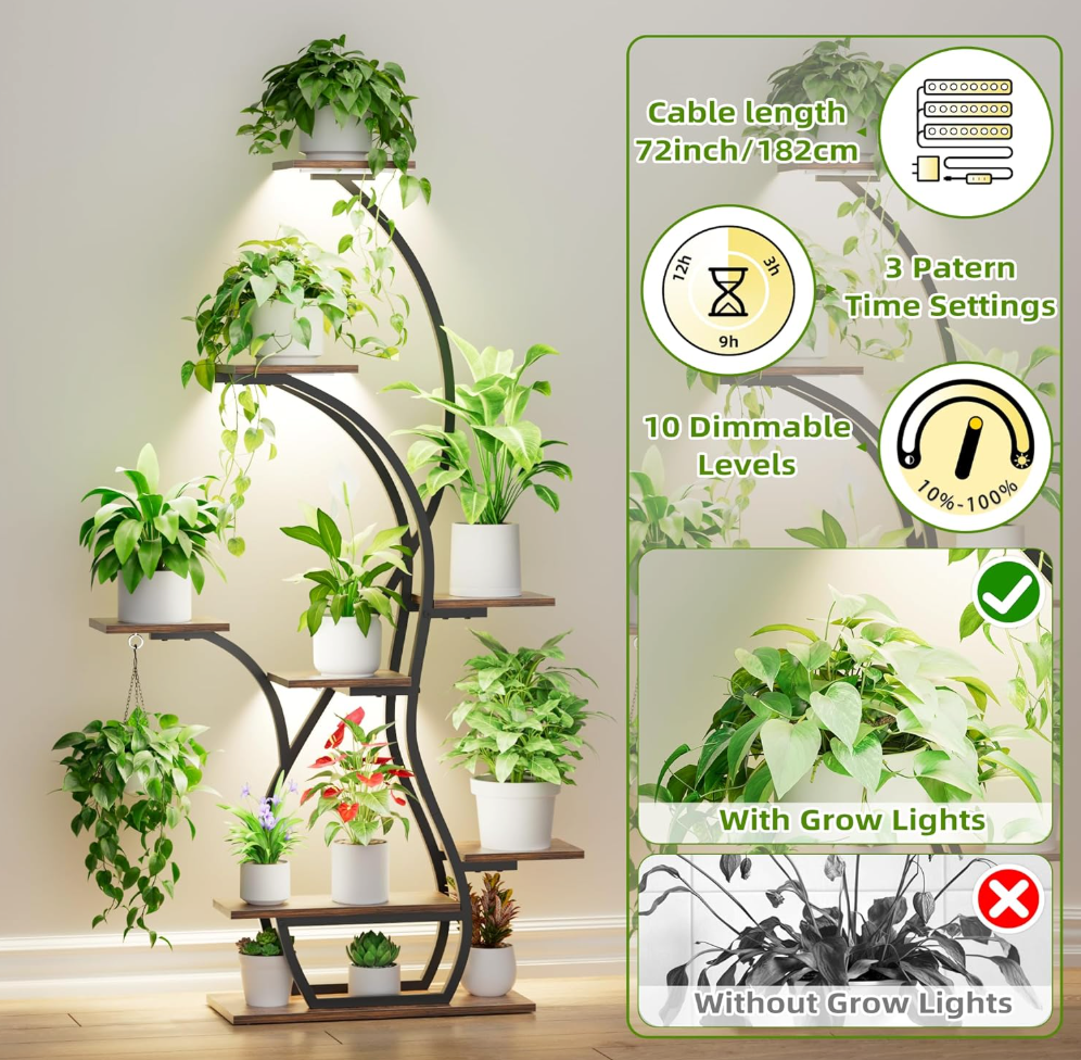 The Aurora Grove Stand