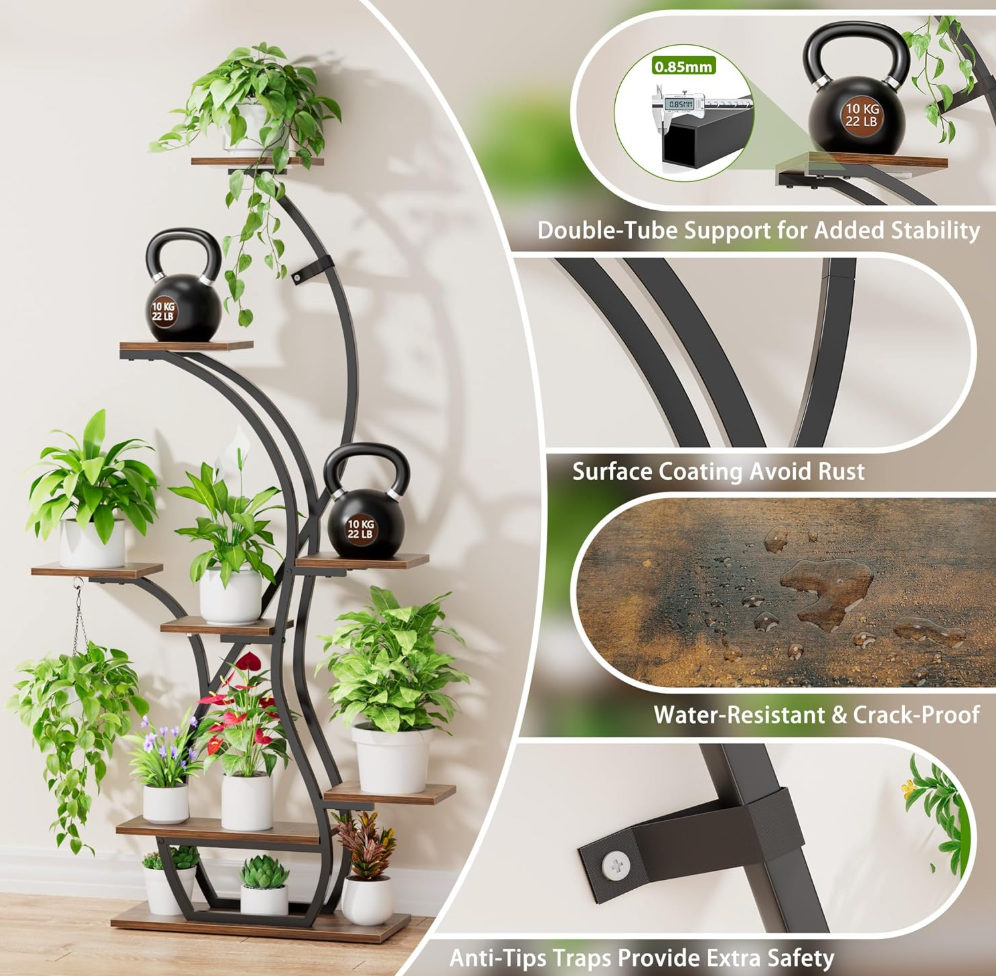 The Aurora Grove Stand