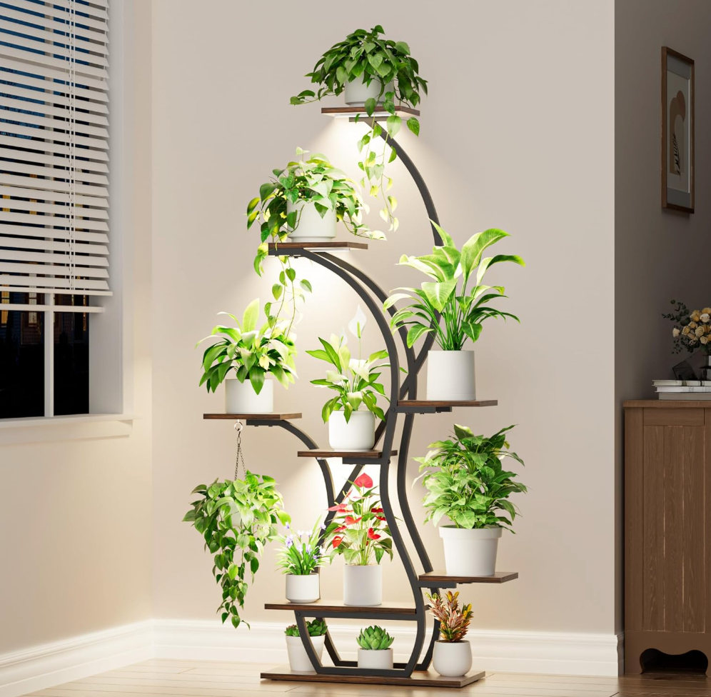 The Aurora Grove Stand