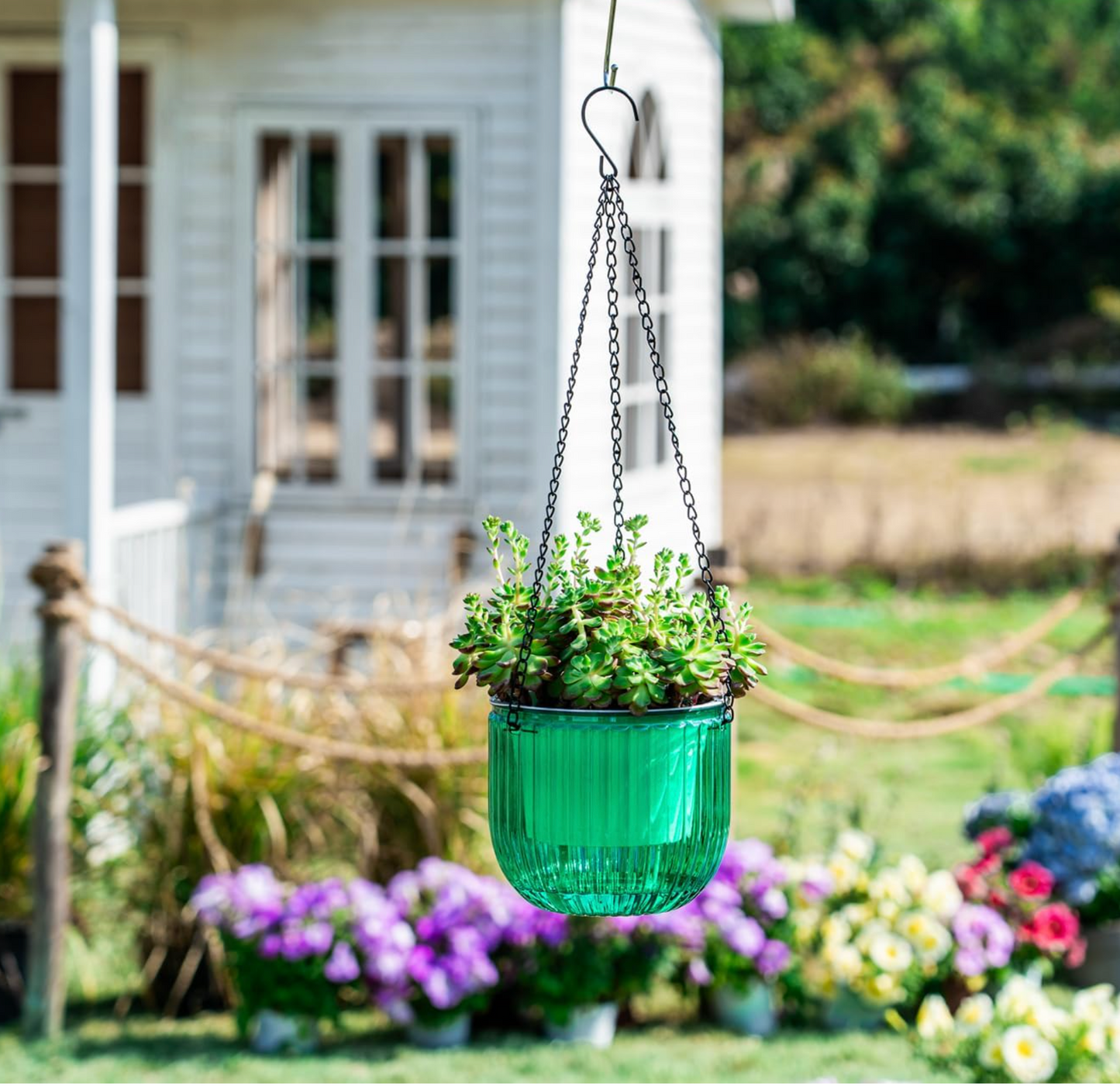 Self-Watering Hanging Planter Duo – Transparent Reservoir & Drainage System (2-Pack)