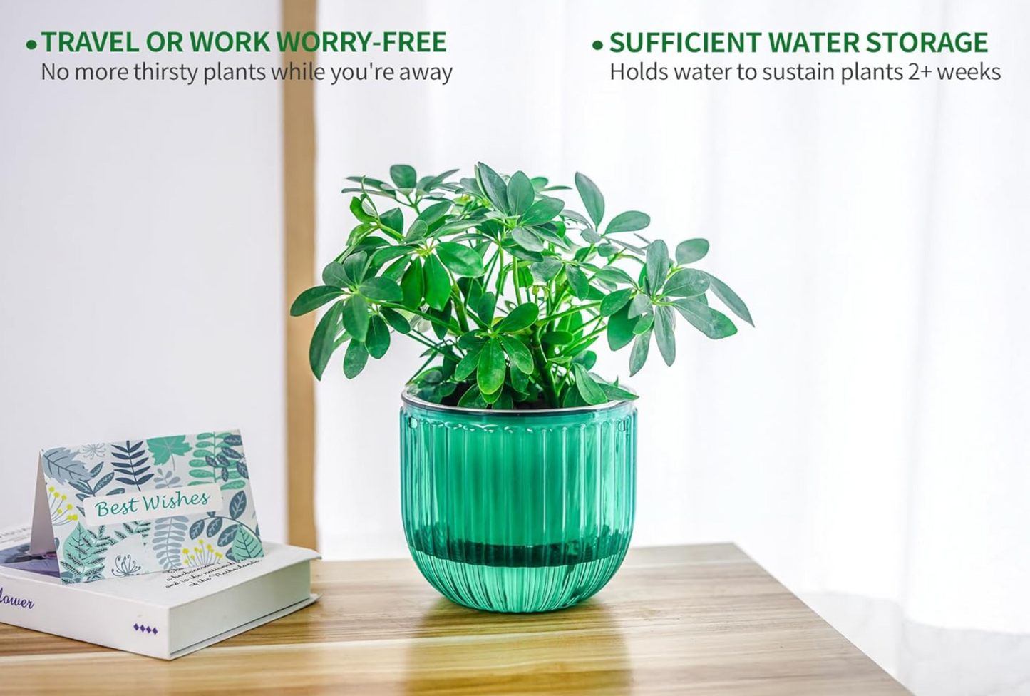 Self-Watering Hanging Planter Duo – Transparent Reservoir & Drainage System (2-Pack)