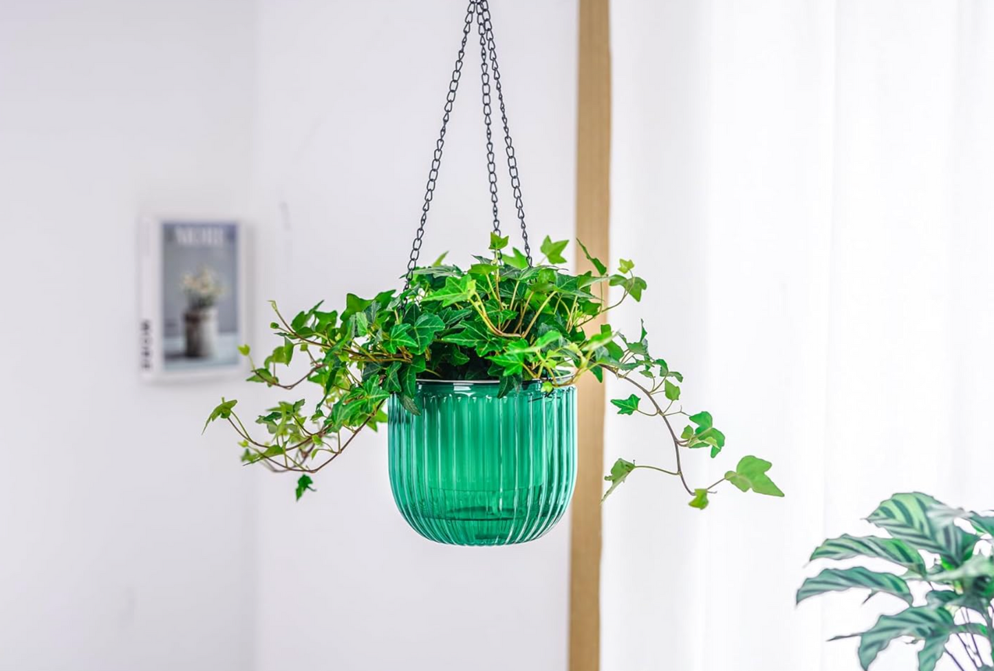 Self-Watering Hanging Planter Duo – Transparent Reservoir & Drainage System (2-Pack)