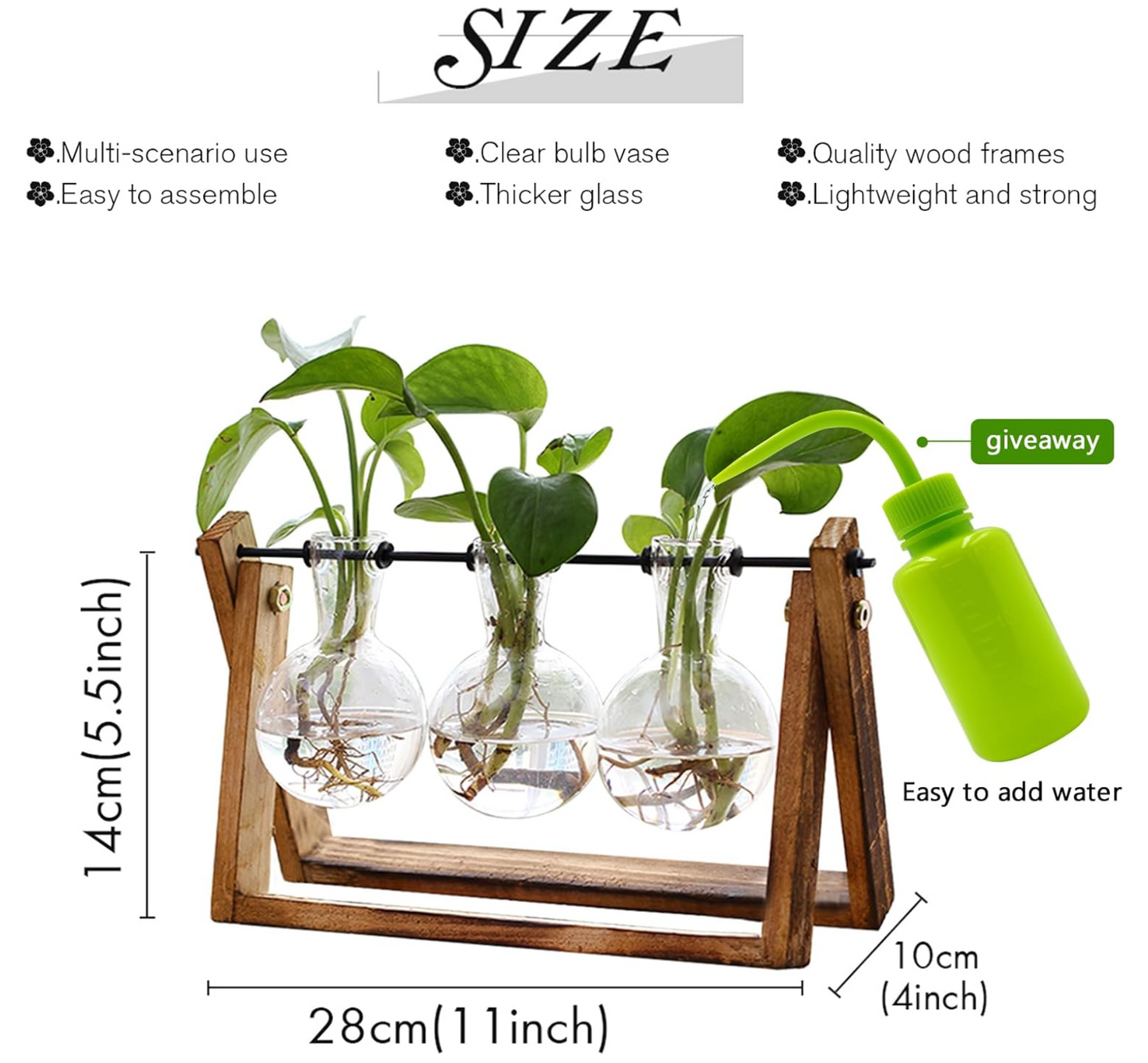 Wood Frame Propagation Vase Set