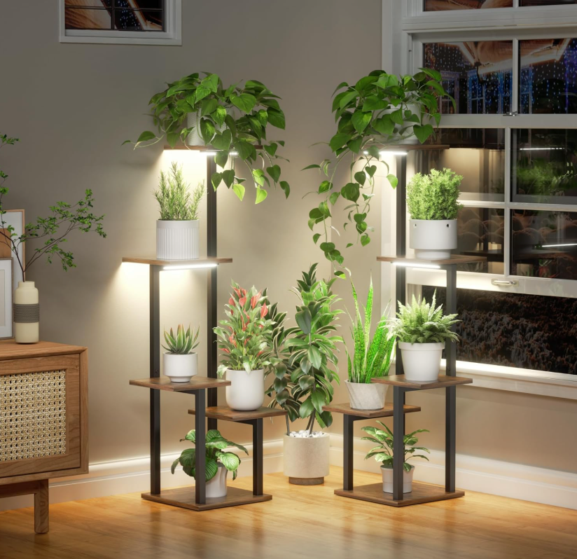 The TerraLift Duo Stand