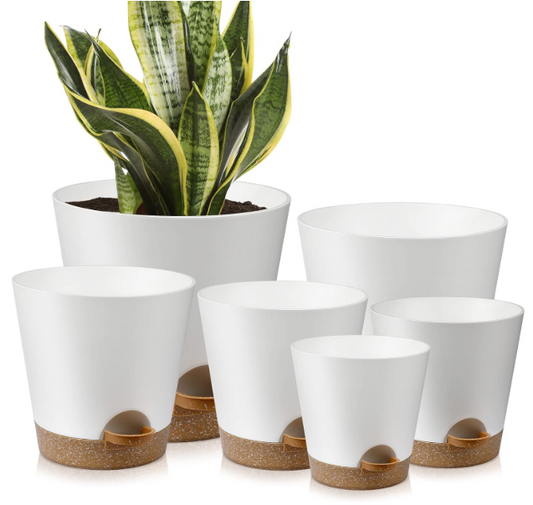 6 Pc Self Watering Planters Set