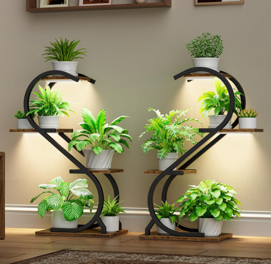 The Evergreen Glow Stand