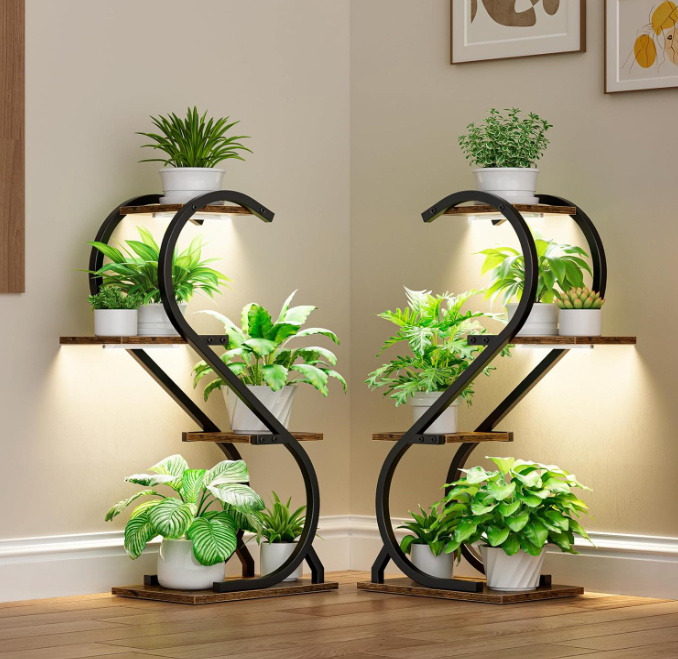 The Evergreen Glow Stand