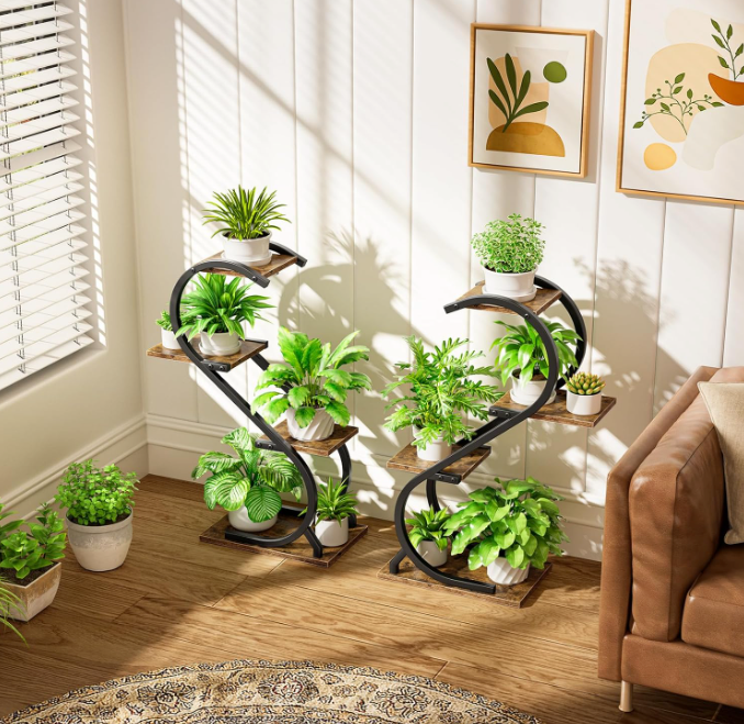 The Evergreen Glow Stand