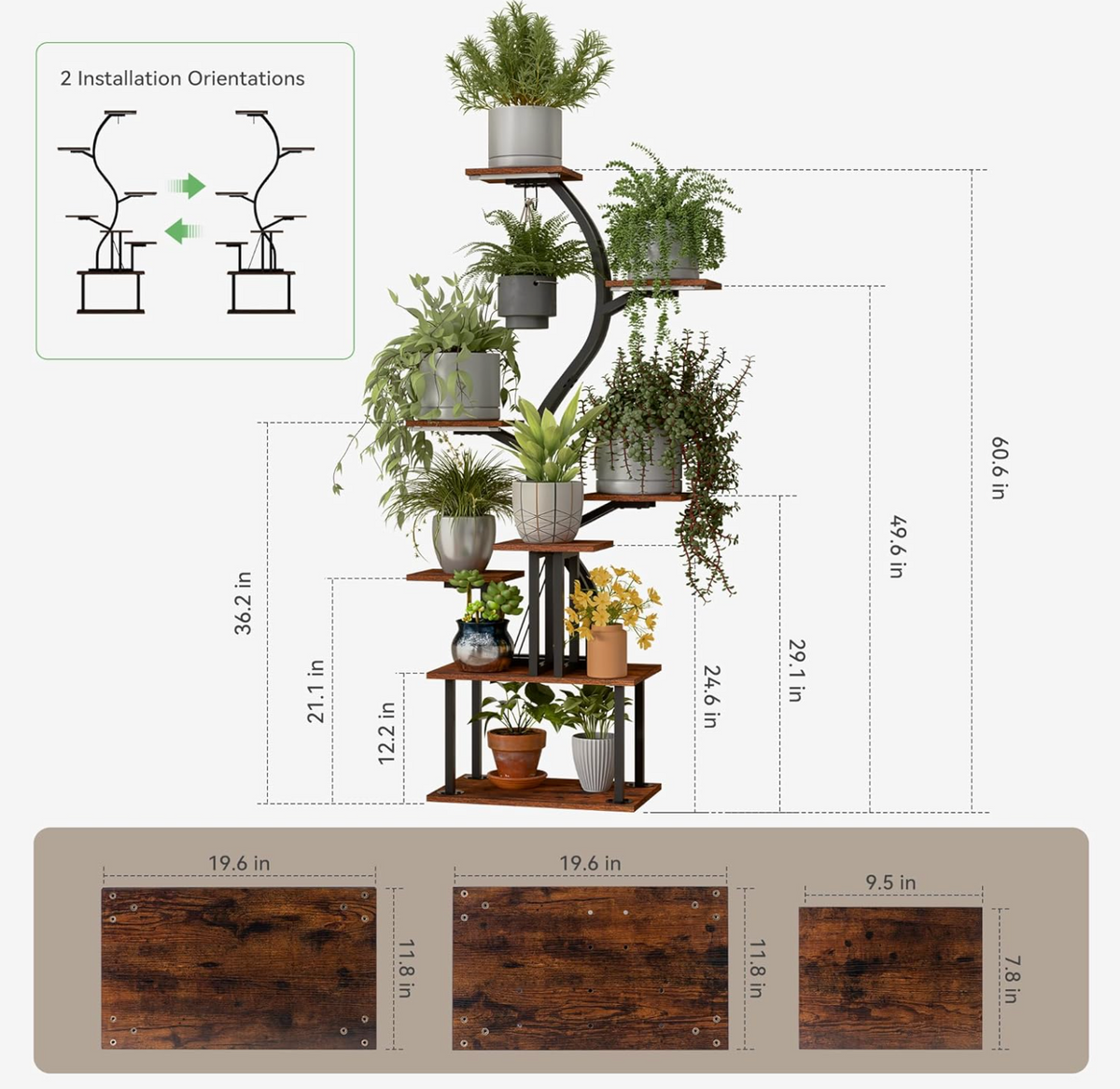 Liora S-Curve Stand
