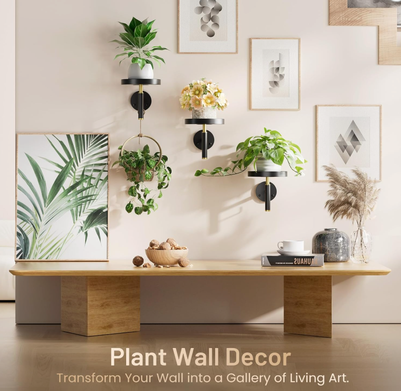 The Lumen Loft Wall Shelf Set