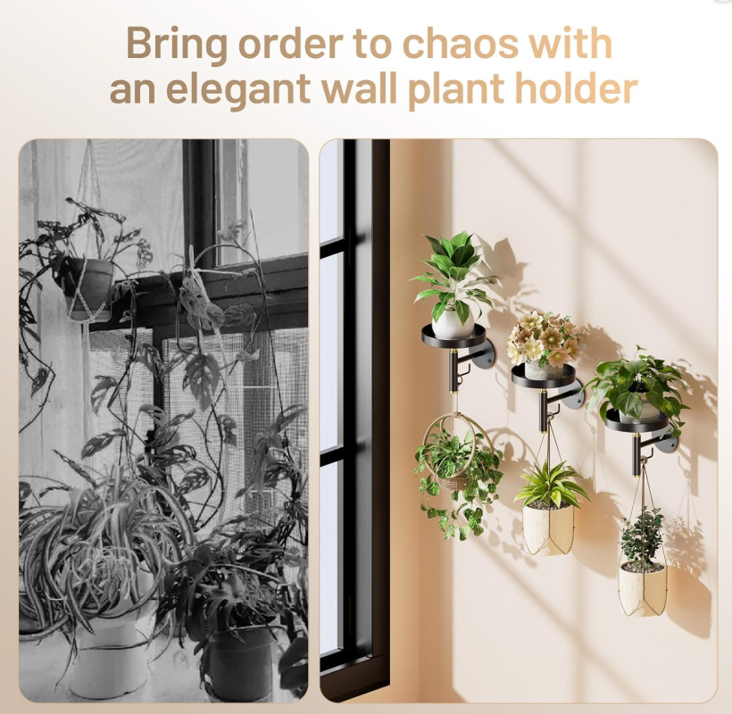 The Lumen Loft Wall Shelf Set